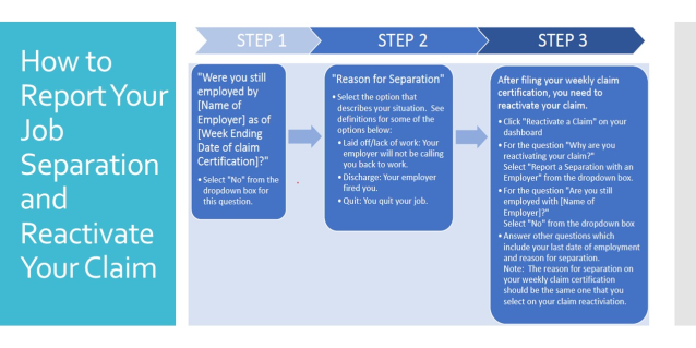 chart how to report job seperation